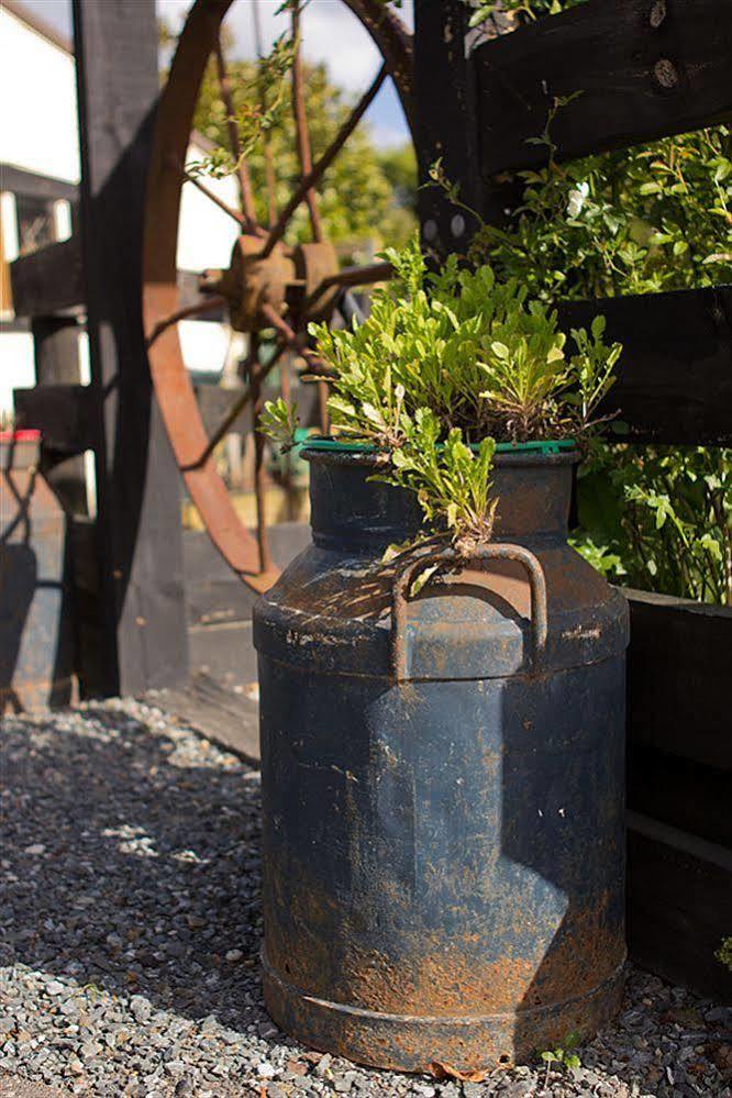 Cambridge Coach House Hotel Ngoại thất bức ảnh